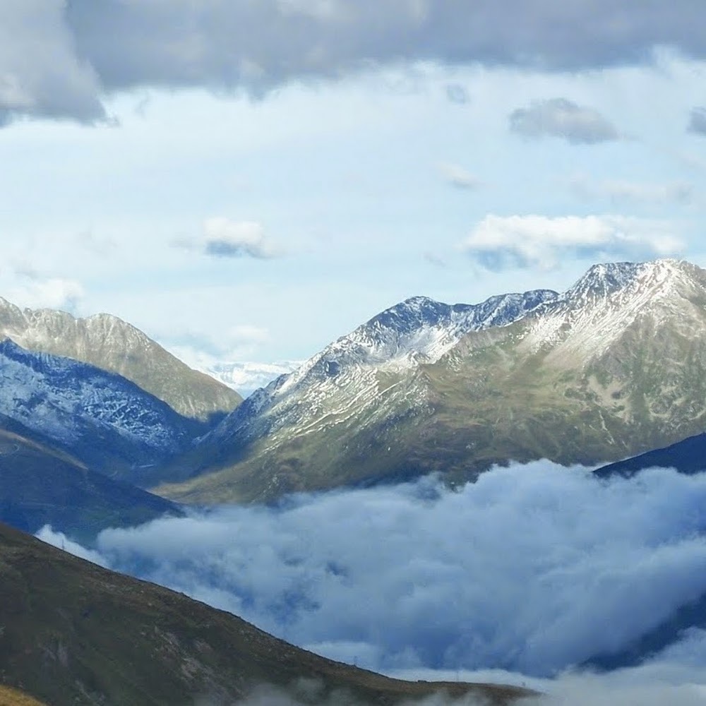 Meet your Posher, Robin